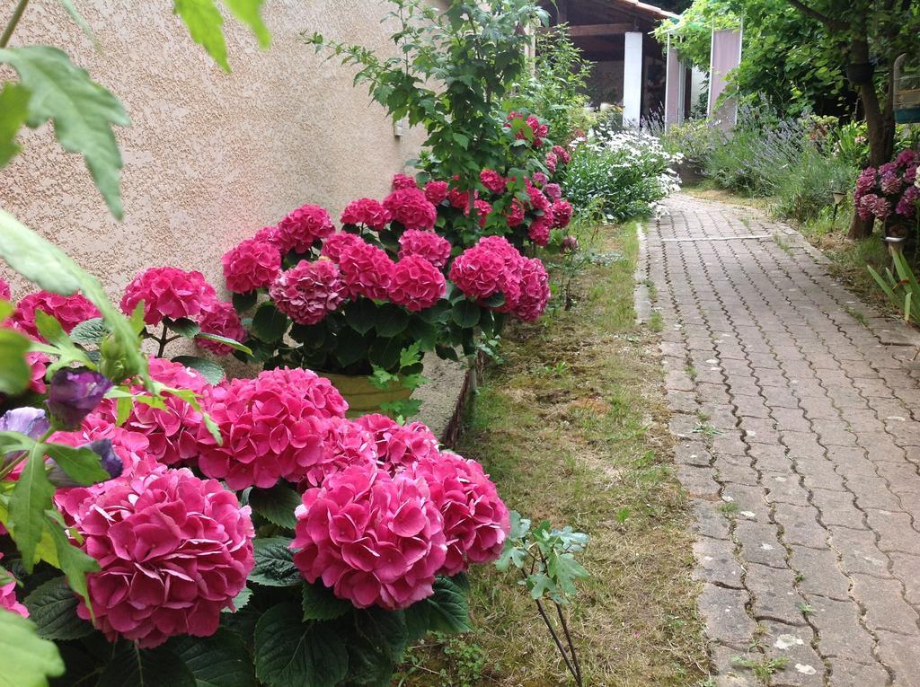 Maison d'hôtes Le Beauséjour Carcasona Exterior foto